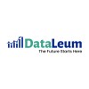 Dataleum